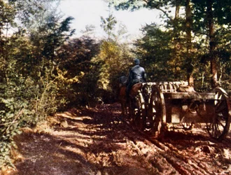 Ein französischer Pferdewagen mit einer 75-mm-Kanone, Verdun, 1916